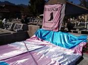 Chile. Para descansar dignidad