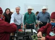 Sostienen encuentro trabajo gobernador estado méxico productores aguacate municipios coatepec harinas