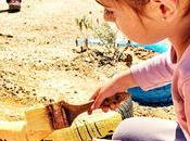 #MiércolesMudo 167: Colores para patio