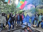 Mapuches convocan “visita guiada” predio ocupado donde hace desarrollo inmobiliario