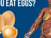 médicos revelan: Esto sucede cuerpo cuando comienza comer huevos