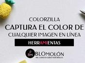 ColorZilla Captura Color Cualquier Imagen Línea