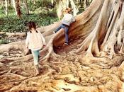 #MiércolesMudo 168: Exploradores