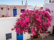 rincón sombra