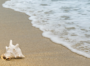 Fotocoagulación láser