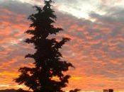 final jornada empezó ilusión