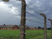 Auschwitz Birkenau; recuerdo horror
