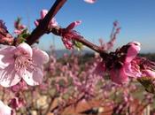 Senderismo, trekking alergia primaveral
