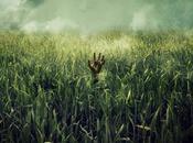Netflix adaptará tall grass', relato Stephen King Hill