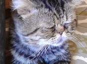 Levántate ponte estudiar