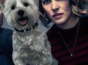 Noche Juegos, juego locos