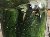 Pepinillos fermentados