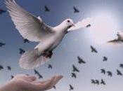 Sobre Camino Cada Persona Debe Recorrer Evolución Espiritual