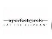 PERFECT CIRCLE Elephant (2018)