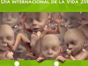 jóvenes, vida