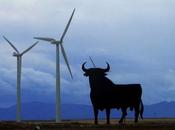 TERRITORIO GALLEGO apuesta verdades