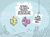 cuentas PROMOIBI