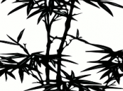 Curiosidades sobre Bambú