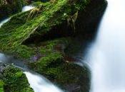 cualidades agua según todos deberíamos conocer