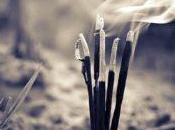 cosas debes tener cuenta quieres limpiar karma