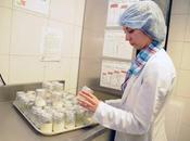 Realiza secretaría salud fase piloto para estrategia captación leche humana