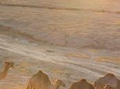 deslumbrantes fotos belleza desiertos Israel.