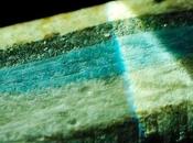 semana para julio, piscina jardín