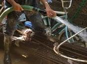 Informan avance trabajos limpieza colonia tejupilco afectada lluvia