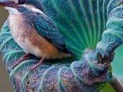 mensajes espirituales colibríes están tratando mandarte