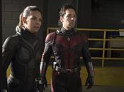 Ant-Man Avispa, poder pequeño