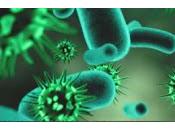 Diseñan Antibióticos Inteligentes dirigidos solo tipo Bacteria