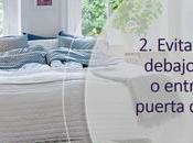 cama Feng Shui tips