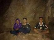 Meditación budista jabalíes salvajes