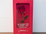 Regalos especiales: flores frescas preservadas