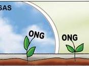 Fabricando franquistas