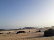 Fuerteventura: arena piedras.