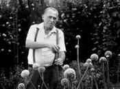 Charles Bukowski hacés mientras matás moscas