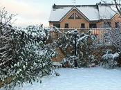 Riguroso Invierno