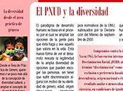¿Transversalizar diversidad?