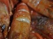 Gambas ajillo