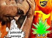 Foto lunes: estampa piñicidio naranja