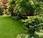 Consejos para Plantación Árboles Arbustos