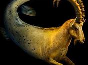 Cohabitando Bernhard.