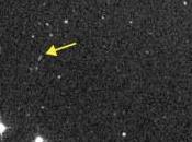 nuevo asteroide encontrado órbita cercana Tierra