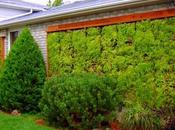 Jardin vertical Chile