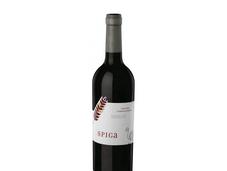 Curso Cata Assemblage Vertical Spiga 02-06