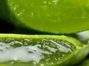 Beneficios ofrece aloe vera