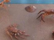 Continúa exposición “del agua muestra” museo ciencias naturales capital mexiquense