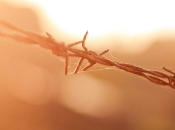 Mantener buena visión puede ayudar pacientes ancianos evitar declinación mental.