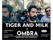 Ombra Tiger Milk Costello Club